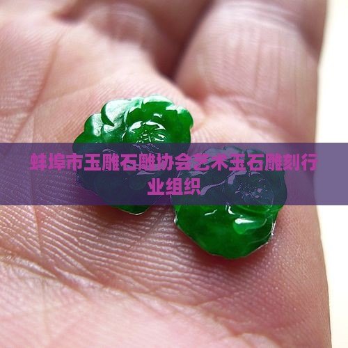 蚌埠市玉石雕协会