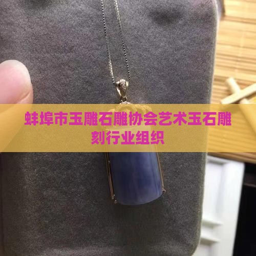 蚌埠市玉石雕协会