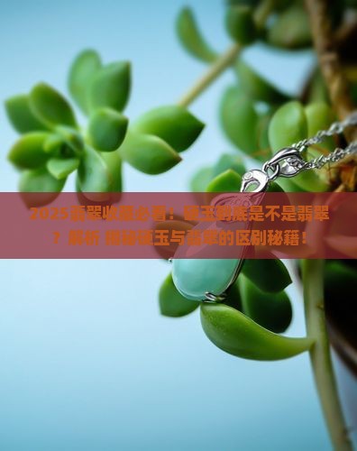 硬玉是专指翡翠吗