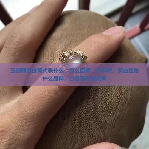玉镯颜色白黄