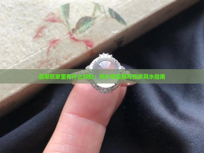 翡翠木在家里有什么好处