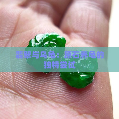 拿翡翠原石养乌龟