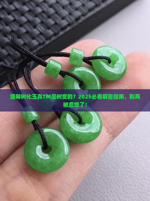 缅甸树化玉是树变成的吗