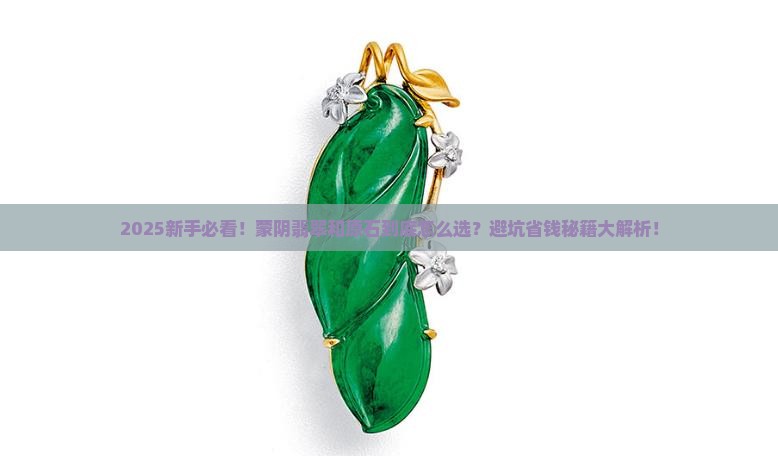 蒙阴翡翠和原石哪个好