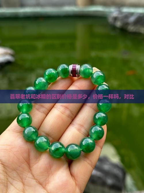 翡翠老坑和冰糯的区别价格