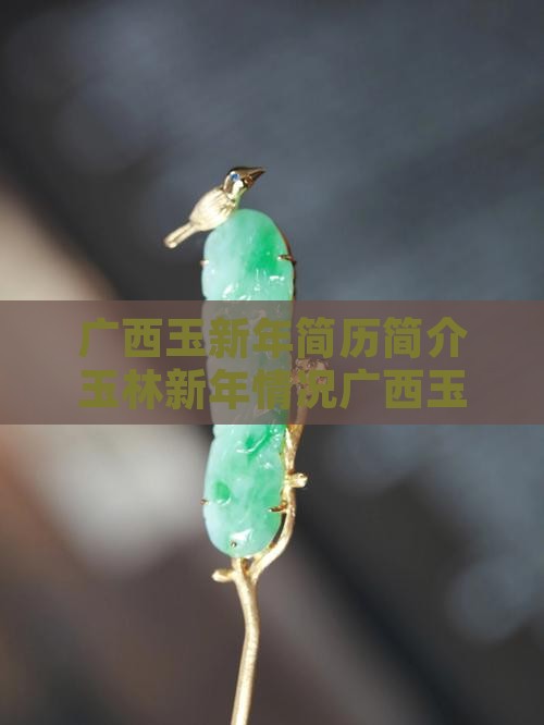 广西玉新年