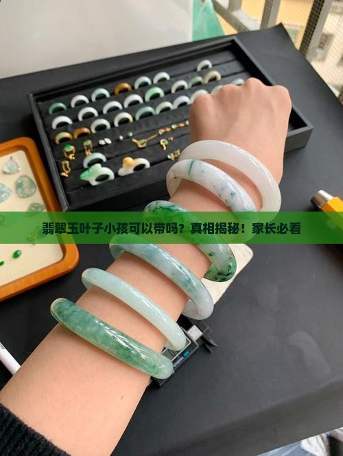 翡翠玉叶子小孩可以带吗