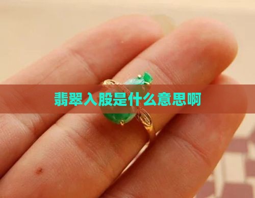 翡翠入股是什么意思