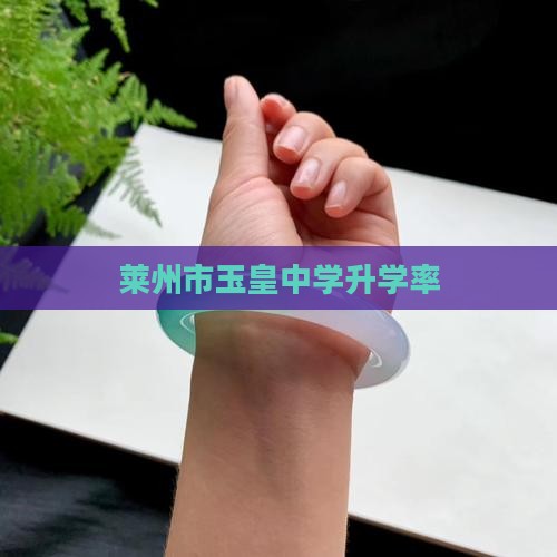 莱州市玉皇中学升学率