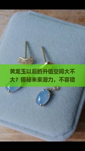黄龙玉以后的升值空间大不大