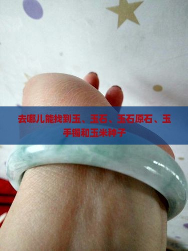 去哪儿能找到玉