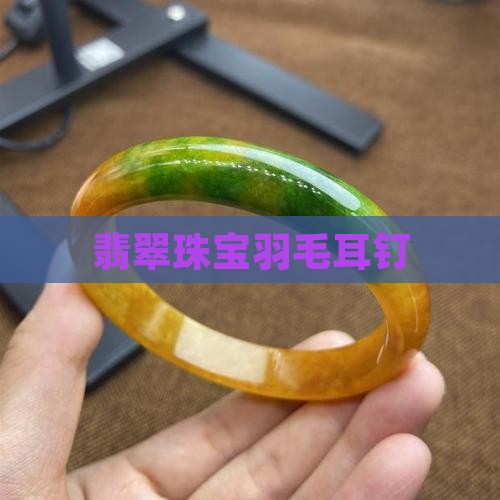 翡翠羽毛耳钉