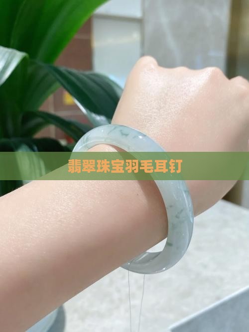 翡翠羽毛耳钉