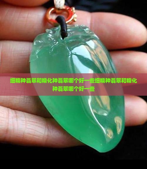 细糯种翡翠和糯化种翡翠哪个好一些