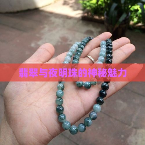 翡翠玛瑙夜明珠