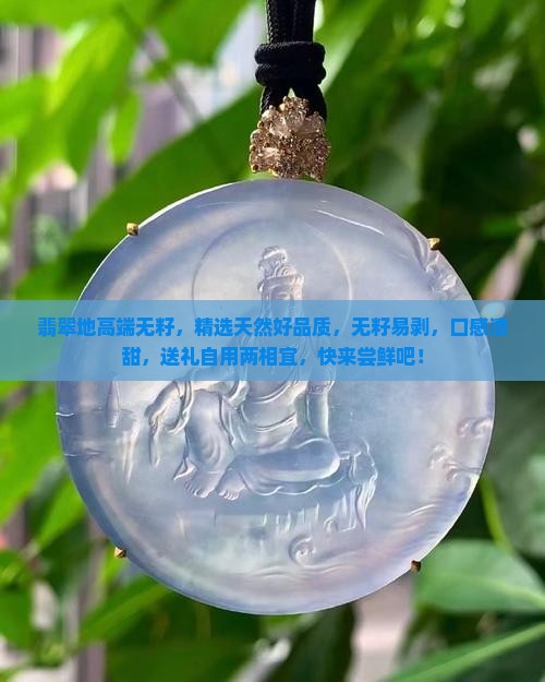 翡翠地高端无籽