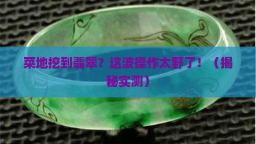 菜地挖到翡翠