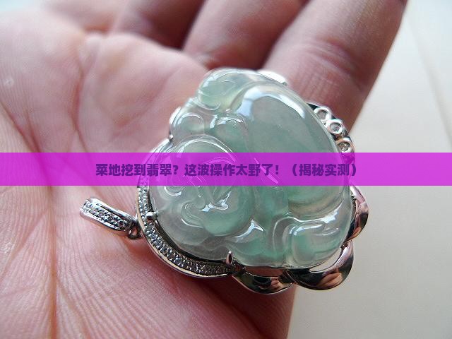 菜地挖到翡翠