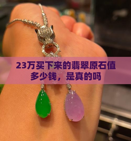 23万买下来的翡翠原石