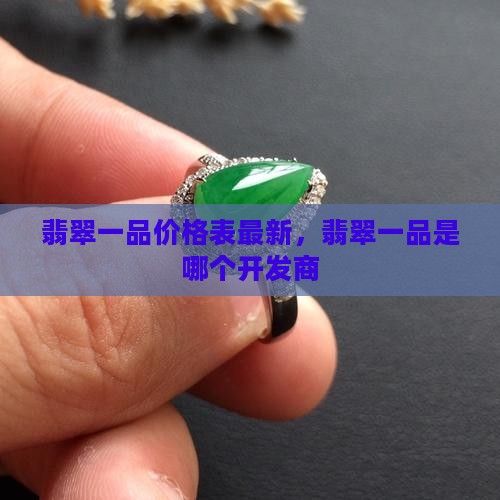 翡翠一品价格表