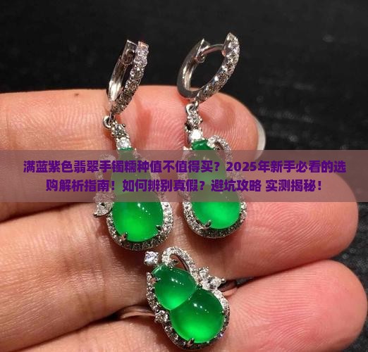 满蓝紫色翡翠手镯糯种