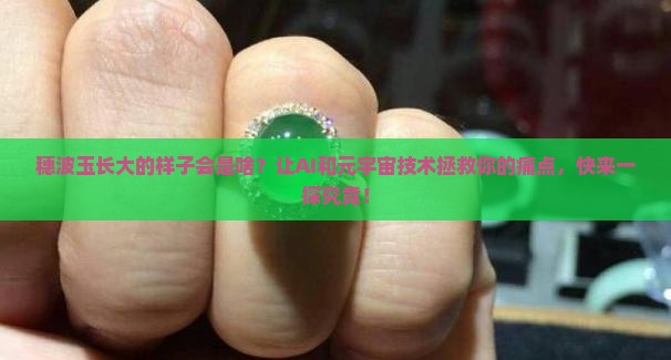 穗波玉长大的样子
