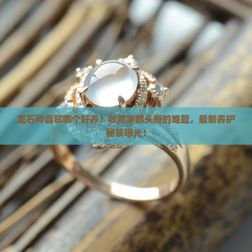 龙石种翡翠哪个好养