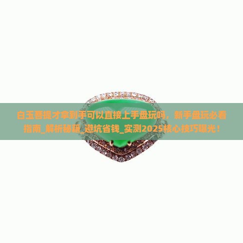 白玉菩提才拿到手可以直接上手盘玩吗
