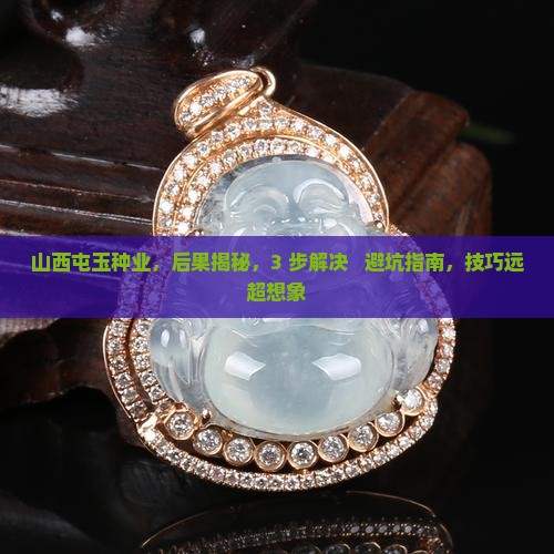 山西屯玉种业