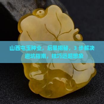 山西屯玉种业