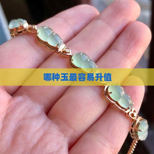 哪种玉最容易升值