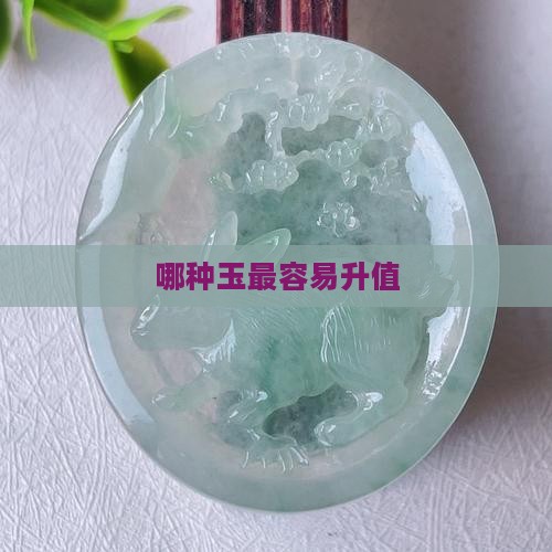 哪种玉最容易升值