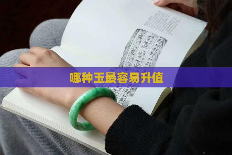 哪种玉最容易升值