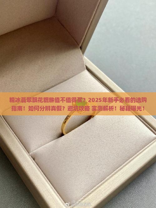 糯冰翡翠飘花貔貅