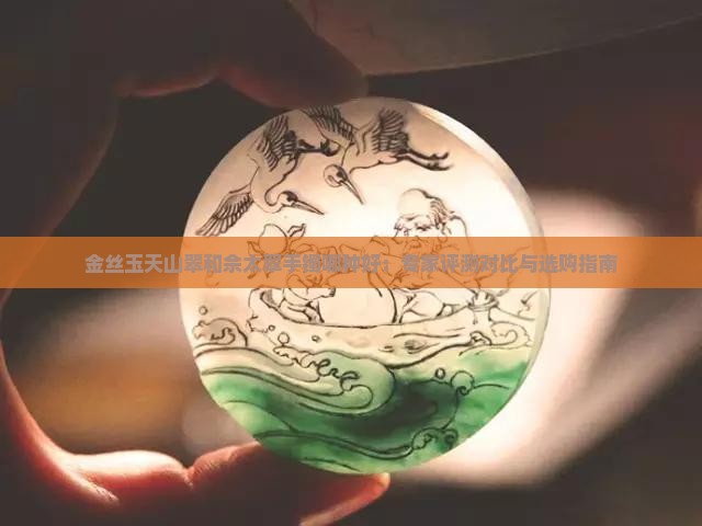 金丝玉天山翠和佘太翠手镯哪种好：专家评测对比与选购指南