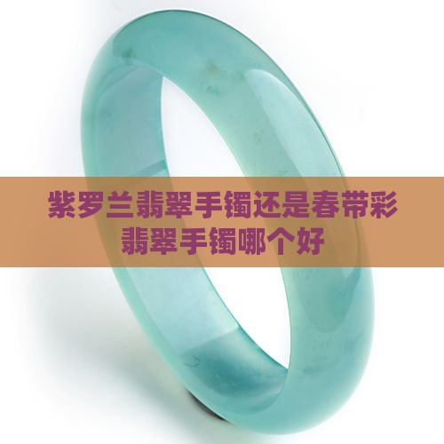 紫罗兰翡翠手镯还是春带彩翡翠手镯哪个好