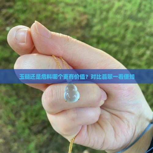 玉髓还是危料哪个更有价值？对比翡翠一看便知