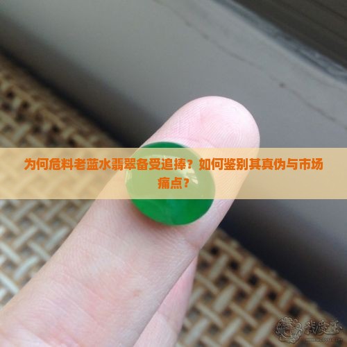 为何危料老蓝水翡翠备受追捧？如何鉴别其真伪与市场痛点？