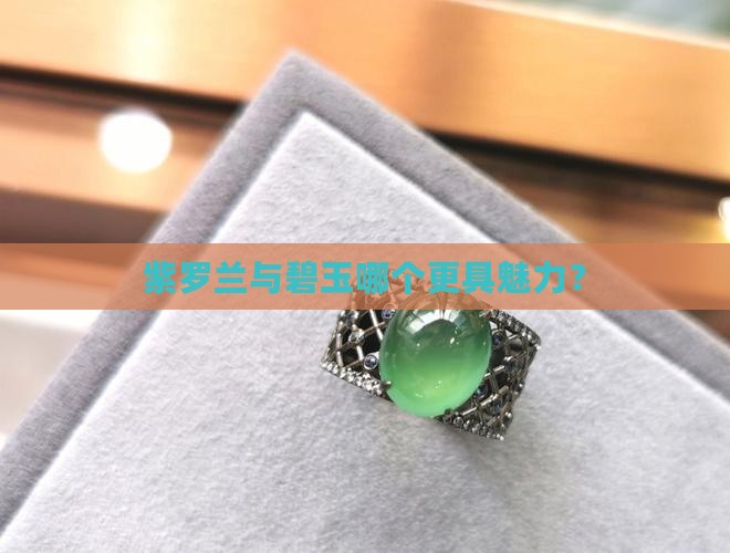 紫罗兰与碧玉哪个更具魅力？