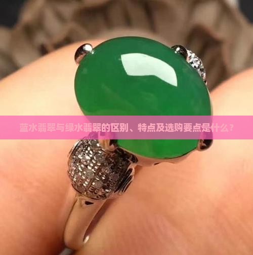 蓝水翡翠与绿水翡翠的区别、特点及选购要点是什么？