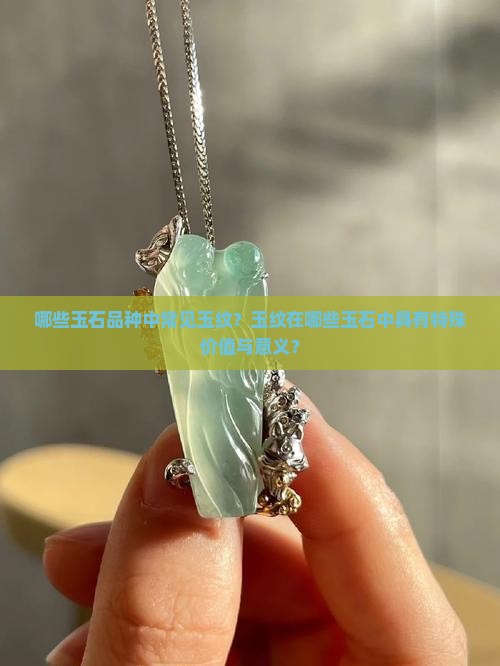 哪些玉石品种中常见玉纹？玉纹在哪些玉石中具有特殊价值与意义？