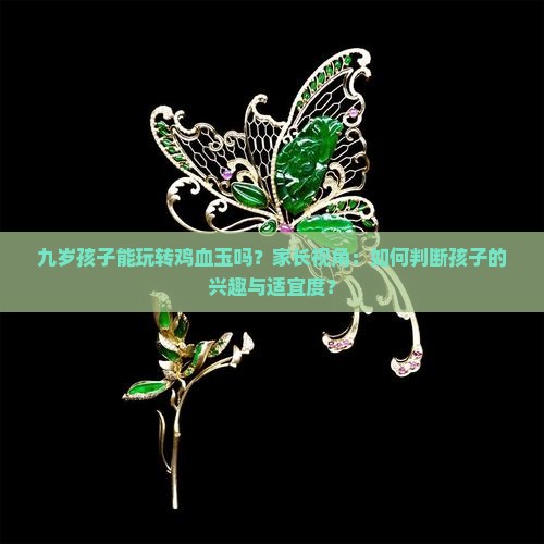 九岁孩子能玩转鸡血玉吗？家长视角：如何判断孩子的兴趣与适宜度？