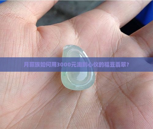 月薪族如何用3000元淘到心仪的福豆翡翠？