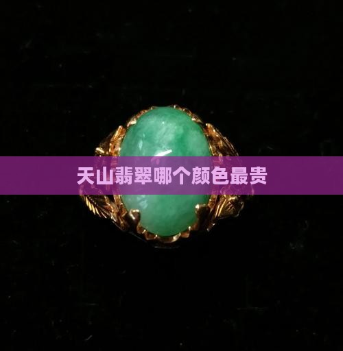 天山翡翠哪个颜色最贵