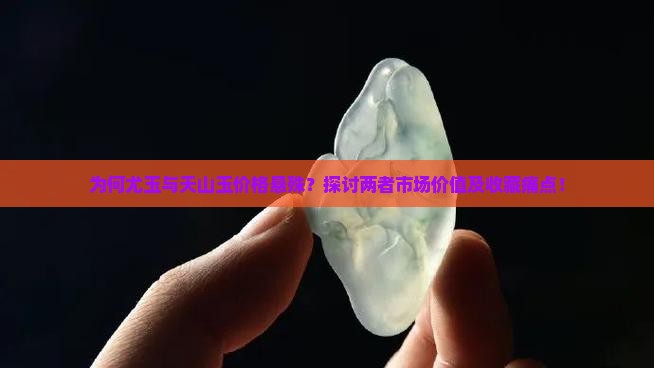 为何尤玉与天山玉价格悬殊？探讨两者市场价值及收藏痛点！