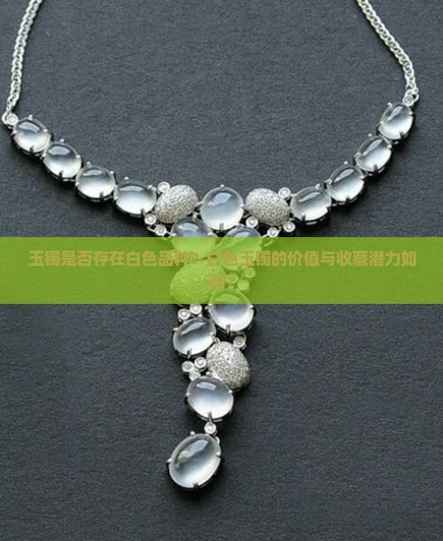 玉镯是否存在白色品种？白色玉镯的价值与收藏潜力如何？