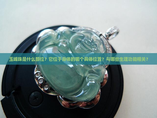 玉峰珠是什么部位？它位于身体的哪个具体位置？与哪些生理功能相关？