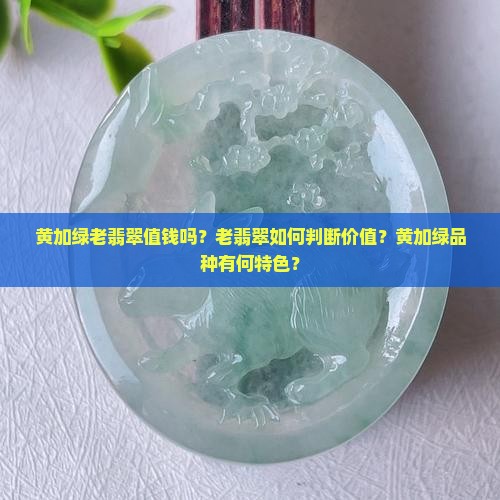 黄加绿老翡翠值钱吗？老翡翠如何判断价值？黄加绿品种有何特色？