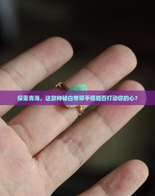 探索青海，这款神秘白带翠手镯能否打动你的心？