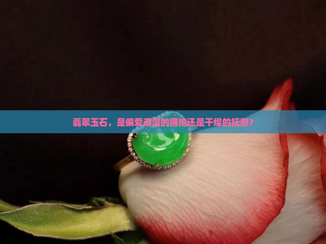 翡翠玉石，是偏爱潮湿的拥抱还是干燥的抚慰？